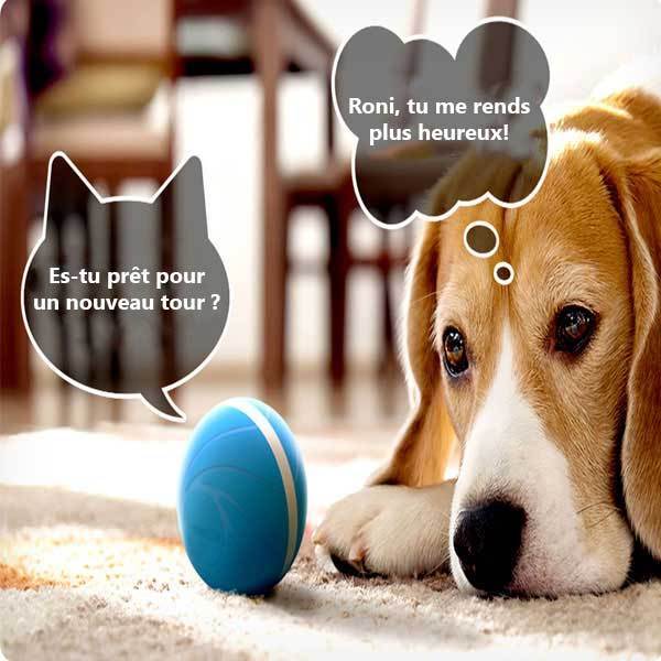 Gadgets d'Eve animaux de compagnie COMBAL™: Balle Intelligente Anti-ennui pour animaux de compagnie