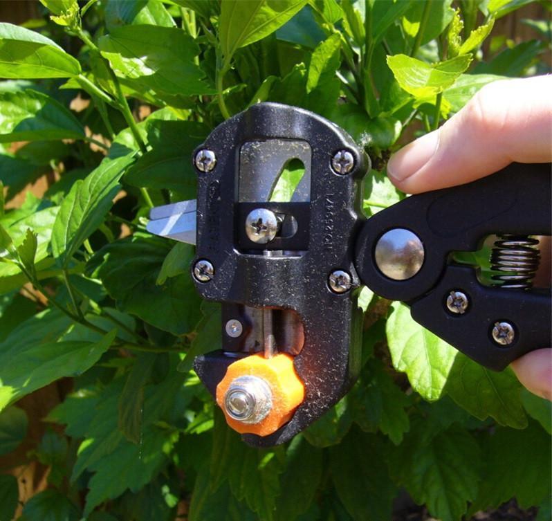 Gadgets d'Eve bricolage GREFFS ™ - Ciseaux De Greffage  pour Votre Jardin  (Outil Professionnel)
